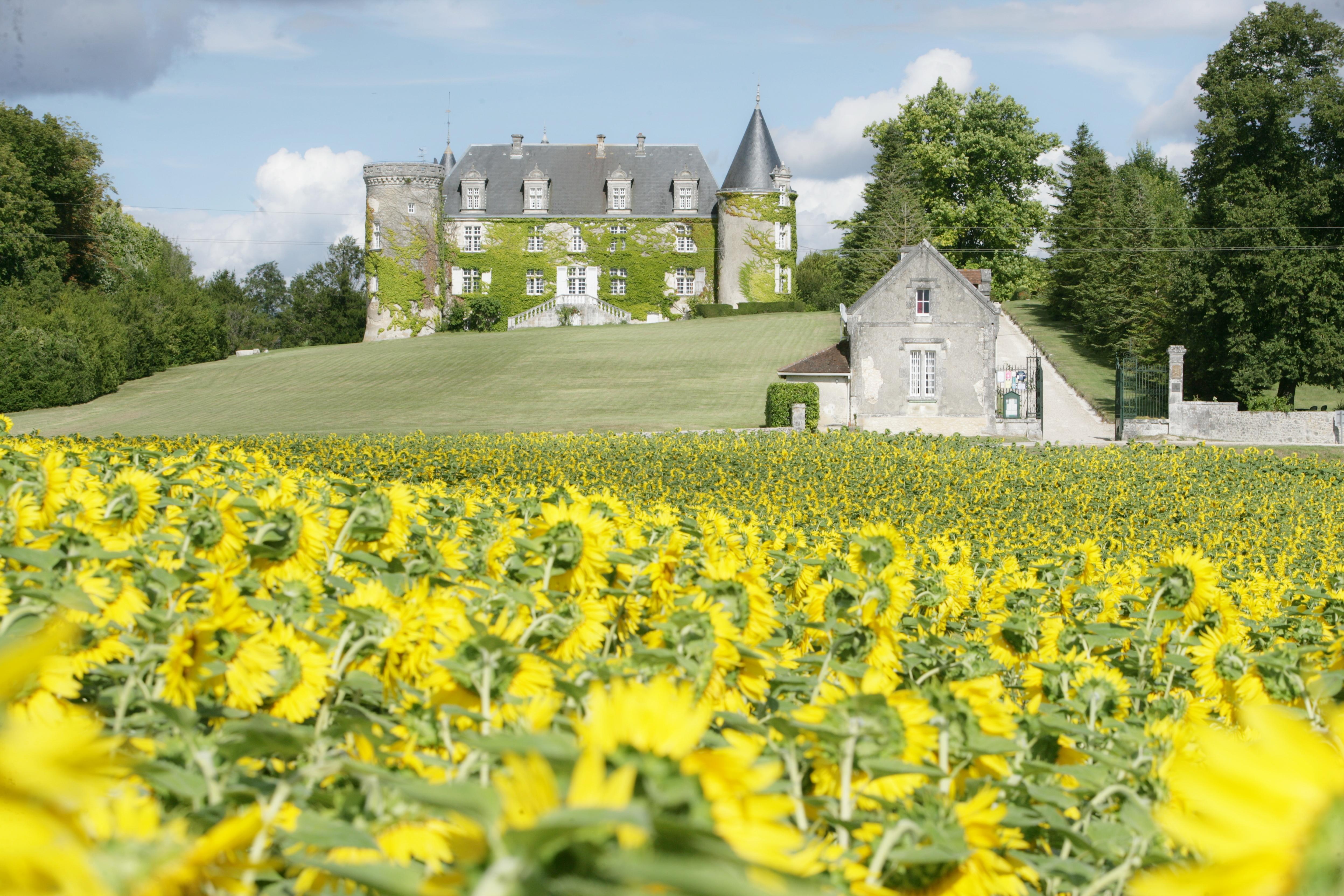 Hôtel Château de La Côte - Brantôme Biras Ngoại thất bức ảnh